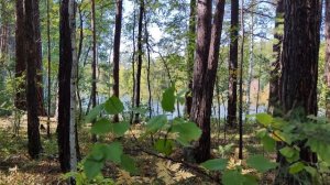 Вот и бабье лето