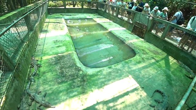 Хошимин.Сайгон.Путешествие по реке Меконг смотреть онлайн