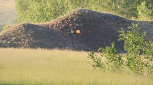 PCP пневматика Cricket стрельба на 310 метров