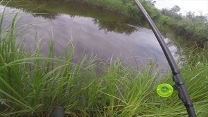 Ловля плотвы на ручейник, видео rybachil.ru