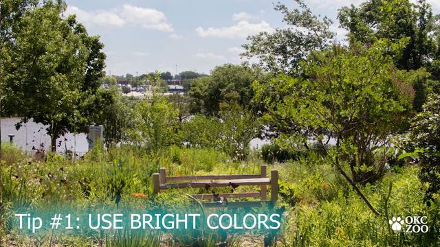 Dr Pepper Art Contest Video 2019 смотреть онлайн