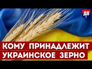 Кому принадлежит украинское зерно и сменят ли Зеленского | Джимми Дор