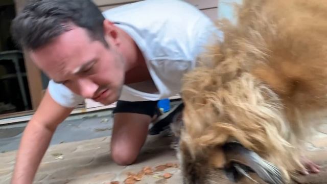 The "10 Second Rule" Experiment! смотреть онлайн