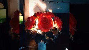 Букет красных роз с подсветкой