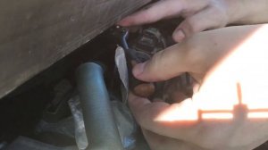 Чистим клапан ЕГР Рено Меган 4  /  EGR RENAULT MEGANE IV