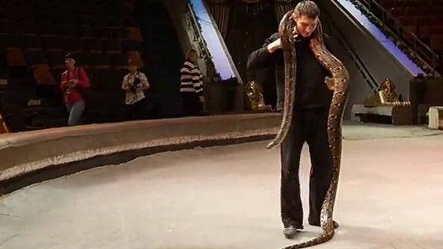 ТК "ЧЕ" - КСТАТИ - презентация Новогоднего Шоу "ДЖАМБО" смотреть онлайн