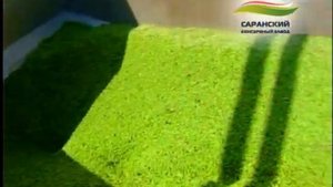 Зеленый горошек Консервного завода Саранский