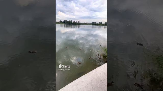 ЖК Радуга Сибири Забалуева Ленинский район Новосибирск Сибирь Недвижимость Жилье Новостройки НСК