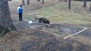 Открытый Чемпионат Алтайского края по ОКД, ЗКС (ОКД+ЗКС), ОКД(мини) 1