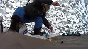 Рыбалка на Усе