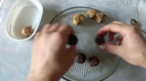 пролонгированные удобрения своими руками для комнатных растений и огорода