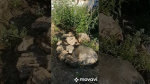 Декоративная крышка для септика из цемента.