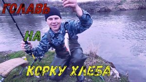 Ловим  Голавль? на темную на  корку хлеба???.#рыбалка#голавль#коркахлеба#речка#клёвое место#