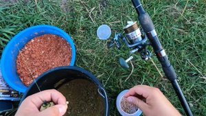 РЫБАЛКА НА КАРПА С НОЧЕВКОЙ. ПРИГОТОВИЛИ ОЧЕНЬ ВКУСНОЕ МЯСО.