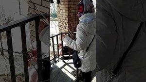 Пасхальный трезвон