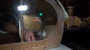 Форт Боярд Шоу - квест в Тольятти