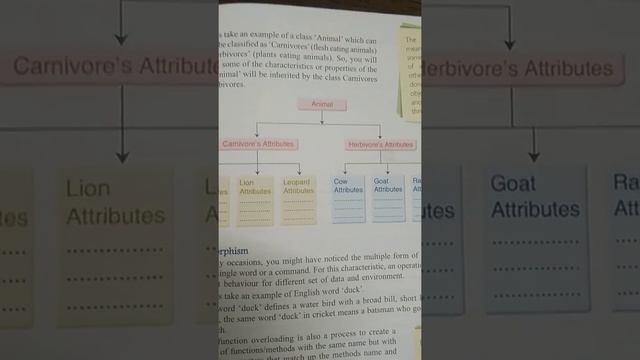Object Oriented Programming,Objects,C++,Java ,Programming Languages,Computer Education