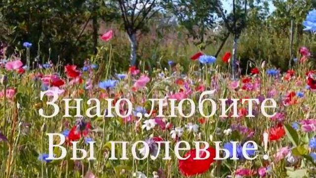 **Я Хочу подарить Вам Мечту. смотреть онлайн