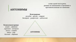 Синонимы, антонимы, омонимы, паронимы