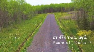 Тюльпаново 2