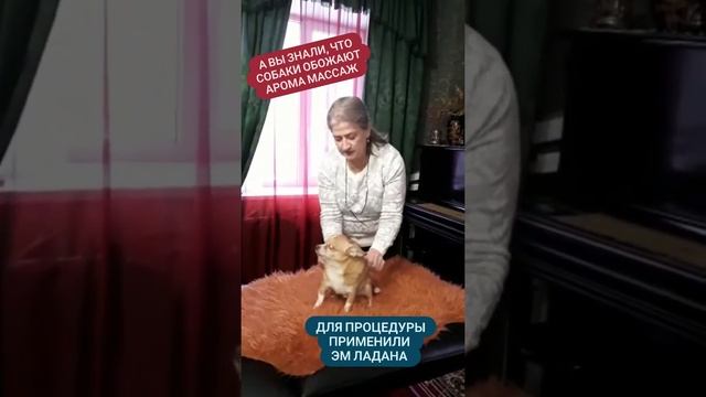 Массаж наших питомцев эфирными маслами