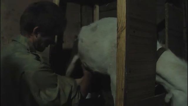 вечерняя дойка аленки смотреть онлайн