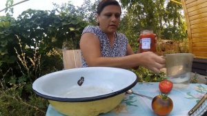 Сорт томатов : Красный уголь. Обзор сорта.