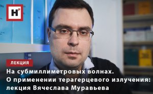 НА СУБМИЛЛИМЕТРОВЫХ ВОЛНАХ. О ПРИМЕНЕНИИ ТЕРАГЕРЦЕВОГО ИЗЛУЧЕНИЯ: ЛЕКЦИЯ ВЯЧЕСЛАВА МУРАВЬЕВА