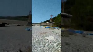 Гранат на пляже в Абхазии.Лидзава август 2017