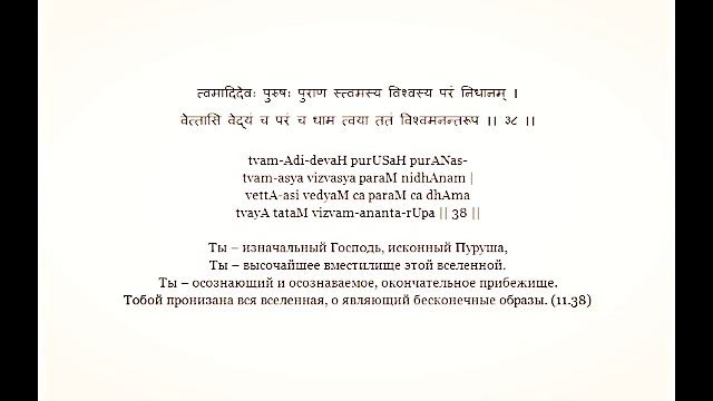 Бхагавад Гита курс Свамини Видьянанды Сарасвати 367 Глава 11 Шлоки 38-40 смотреть онлайн