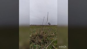 Мопед Альфа Кросс