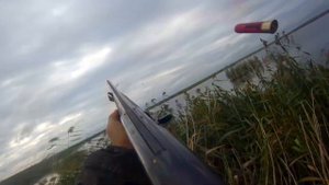 Утиная охота на озере Убинское 2022 открытие