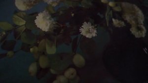 Аэропорт(День отлета, день прилета)Стою у трапа самолета)наброски)