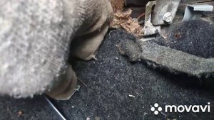 если двигатель не заводится