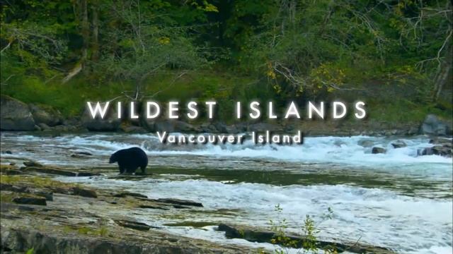 Choice of life wild islands. Неизведанные острова (2013). Живу в Сибири у реки. Wild Island. Квест остров Discovery.