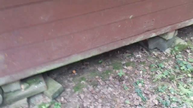 Ведьмин круг смотреть онлайн