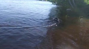 Лодка на радио управлении своими руками