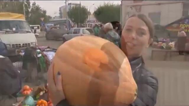Выбираем тыкву: каких размеров уродились и как правильно приготовить смотреть онлайн