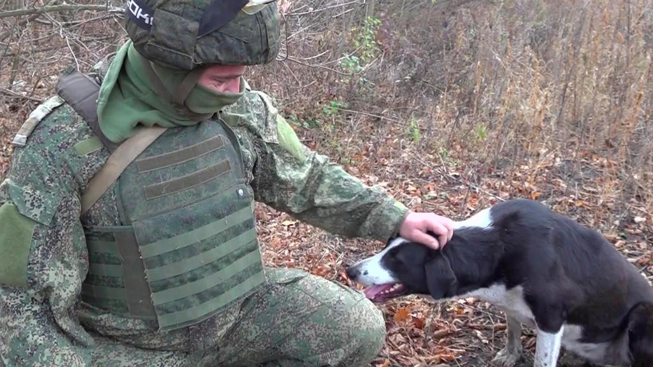 Боевая работа "кочующей артиллерии" в зоне спецоперации в репортаже Первого канала