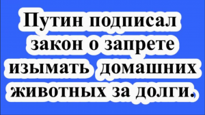 Путин подписал закон о запрете изымать домашних животных за долги.