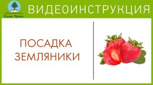 Как правильно посадить землянику. Телепередача Земля Уральская. Архив 23.06.2011