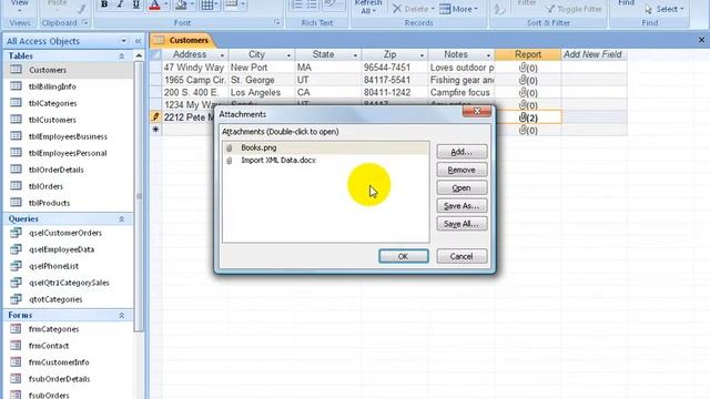 Access 2007 Table: Attachment Field