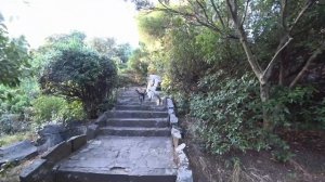 Крым. Воронцовский дворец, июнь 2018...