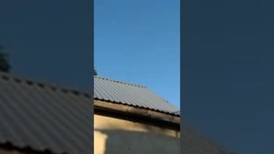 .." СОРЕВНОВАНИЕ БОЙНЫХ ГОЛУБЕЙ .." С УЧАСТИЕМ..Г.. КИСЛОВОДСК..И.. КАВКАЗСКИЕ МИНЕРАЛЬНЫЕ ВОДЫ "