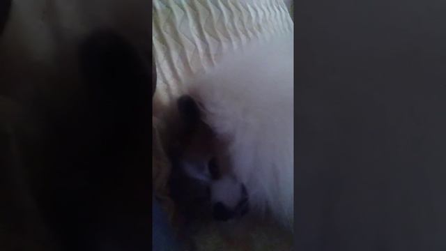 Называется (зима) смотреть онлайн