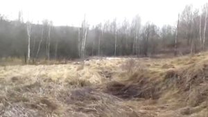 Как определить жирность глины и где её добывать