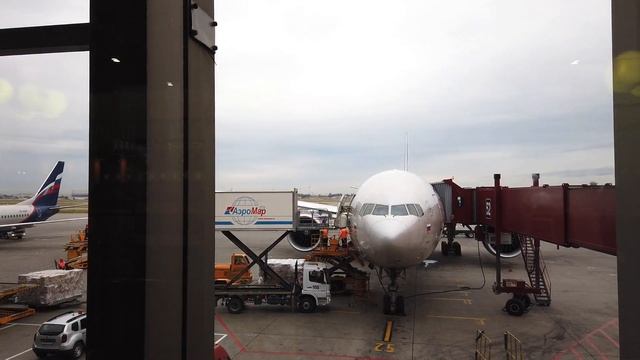 Arrival Transit Moscow Airport 2019 SVO смотреть онлайн