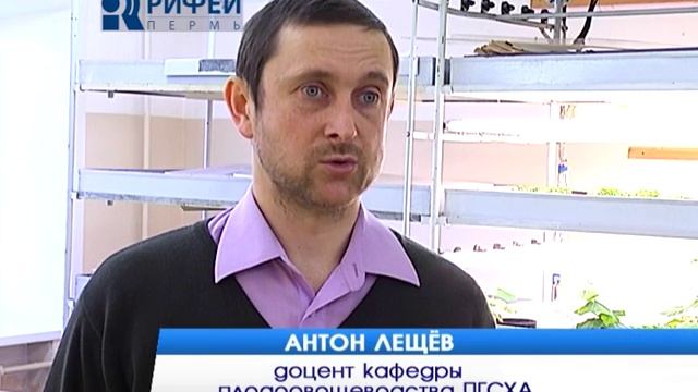 Зелёный участок Подвой и привой яблони и груши смотреть онлайн