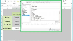 4 2  Excel 2013  Personnaliser les formats de nombres