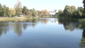 Пруд в Немчиновке